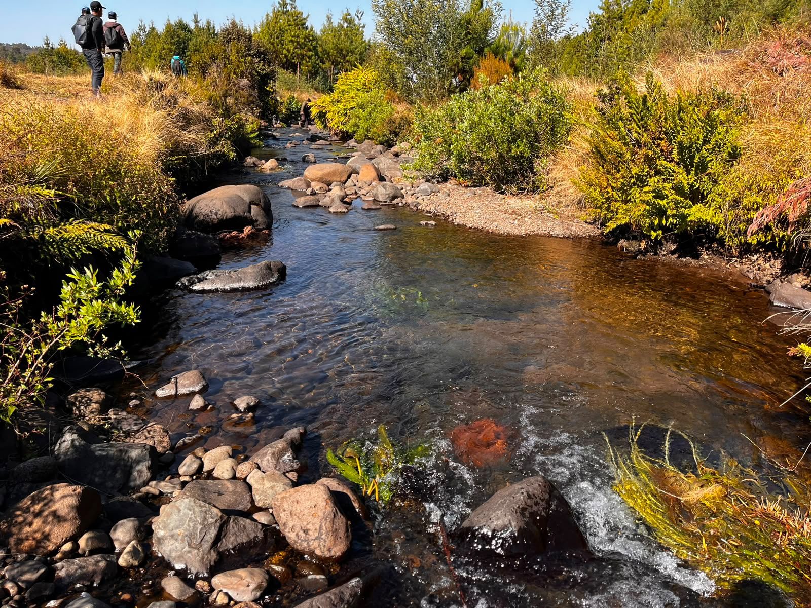 Rivière de l'Ankaratra